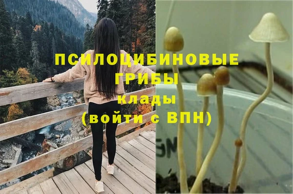 марки nbome Богданович